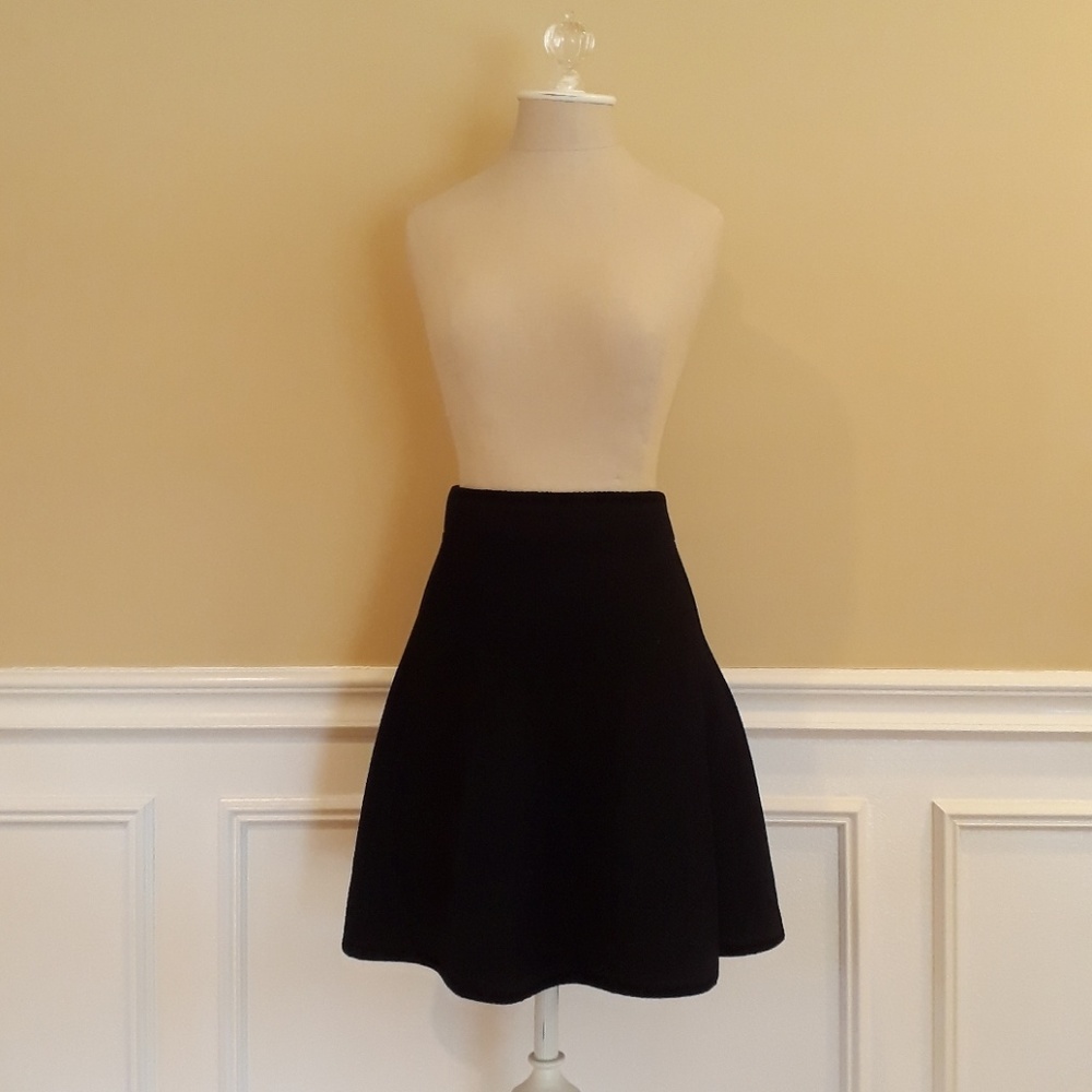 Zara Basics A-Line Skirt